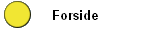 Forside